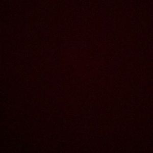 Meet your Posher, Darren